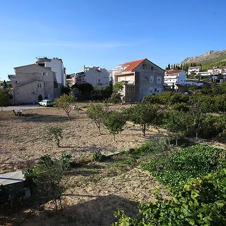Dama
